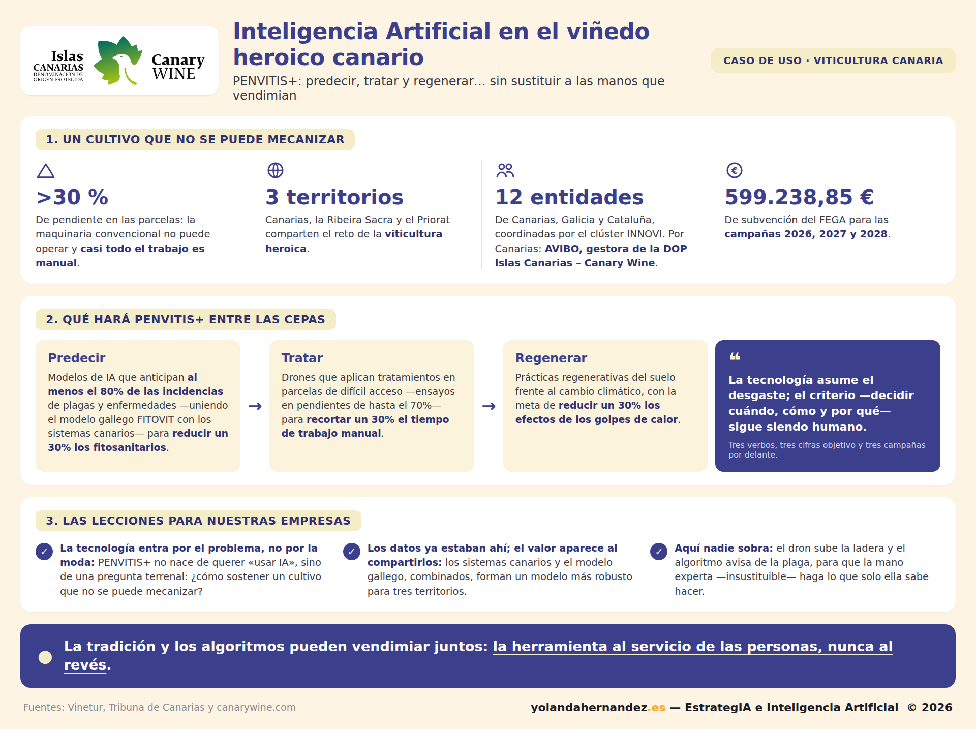 Infografía de la Inteligencia Artificial en Canarias en el viñedo heroico: PENVITIS+, cifras del proyecto y lecciones para empresas